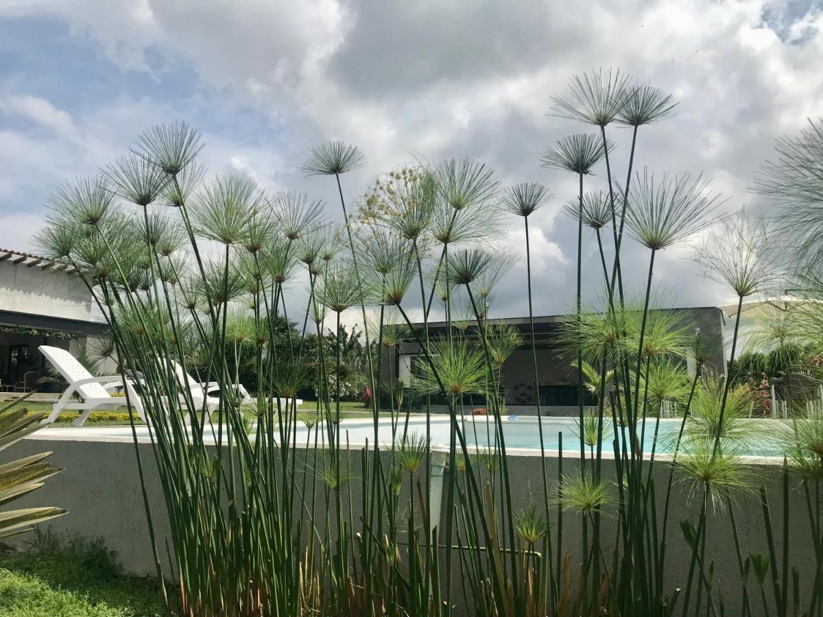 Torcaza Casa De Campo Quimbaya Dış mekan fotoğraf